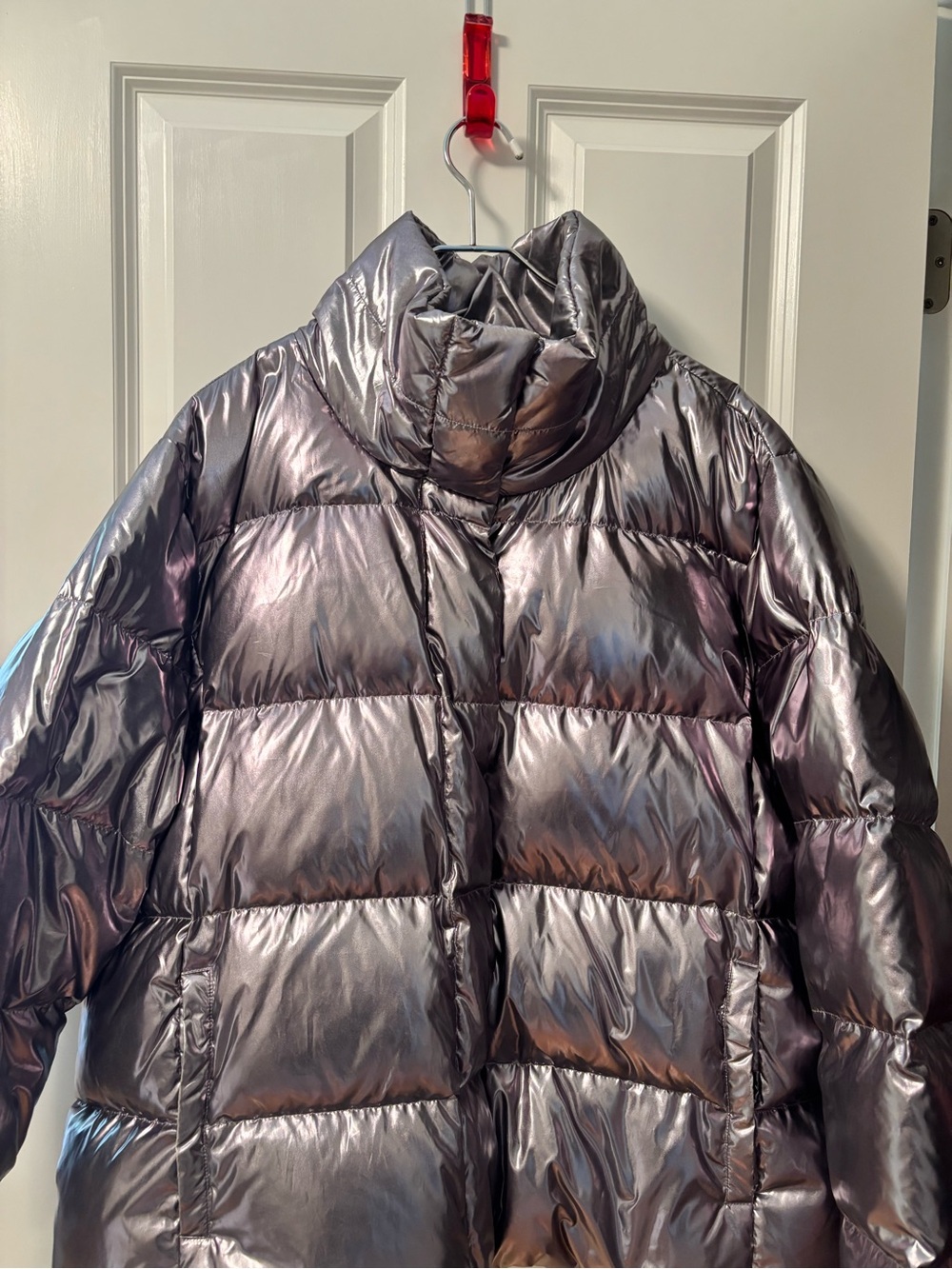 Metallic Iridescent Puffer Jacket in Silver